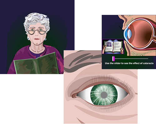 Image composite of illustrations